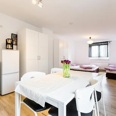Messe- Und Monteurunterkunft Apartment Köln